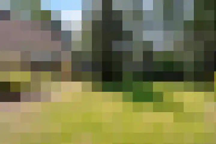 Fuutlaan 6 Best thumbnail 28