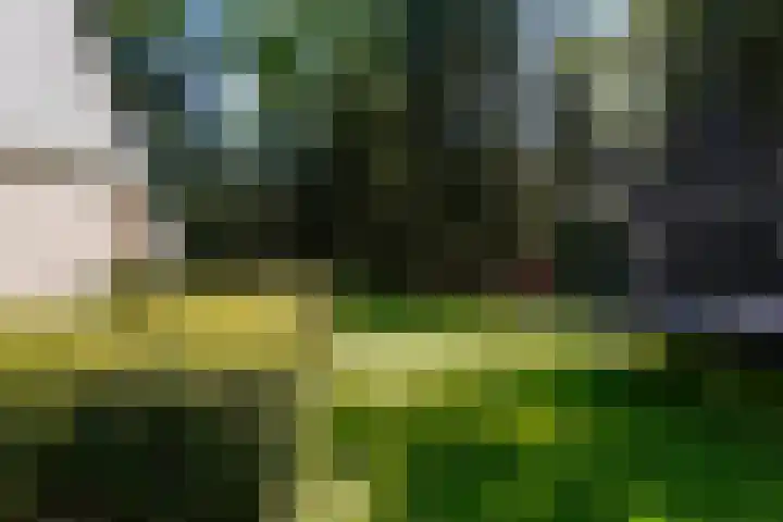 Fuutlaan 6 Best thumbnail 30