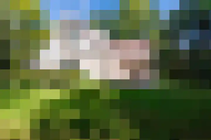 Fuutlaan 6 Best thumbnail 31