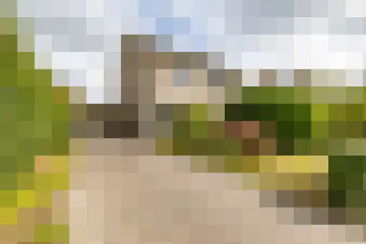 Fuutmesschen 14 Assen