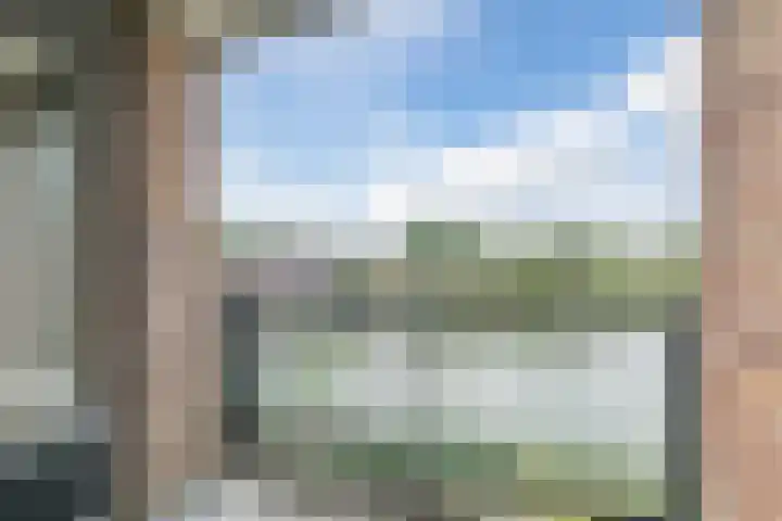 Fuutmesschen 33 Assen thumbnail 12