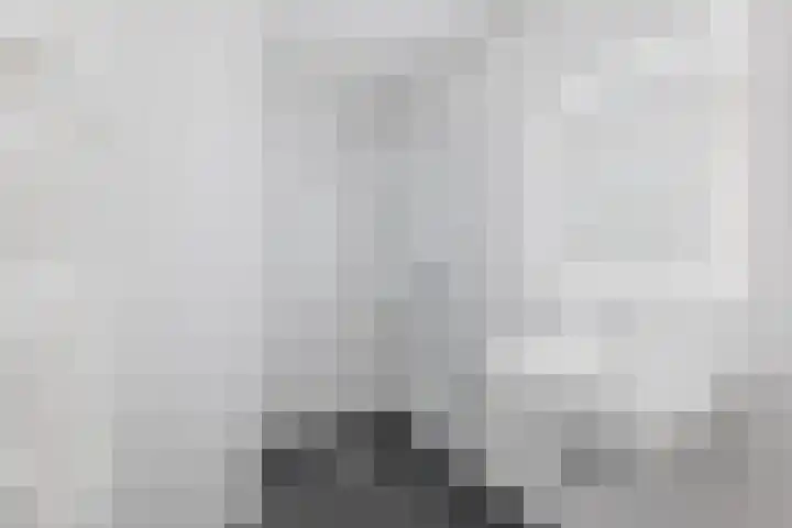 Fuutmesschen 33 Assen thumbnail 20