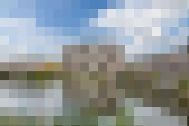 Fuutmesschen 41 Assen