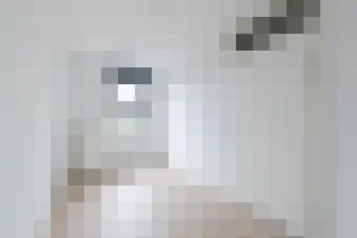 Fuutmesschen 61 Assen thumbnail 17