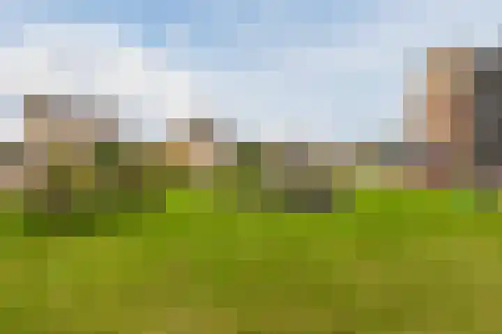 Fuutmesschen 61 Assen thumbnail 25