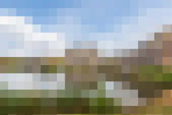 Fuutmesschen 61 Assen thumbnail 26