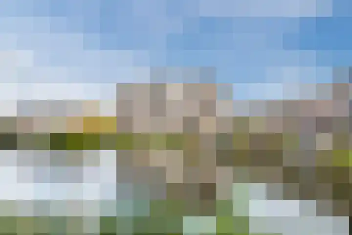 Fuutmesschen 63 Assen