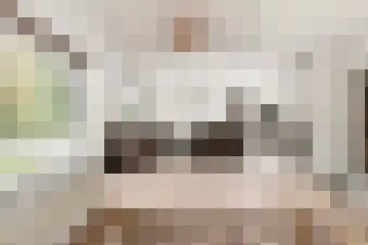 G.E.C. Ribbiuslaan 4 Rhoon thumbnail 14