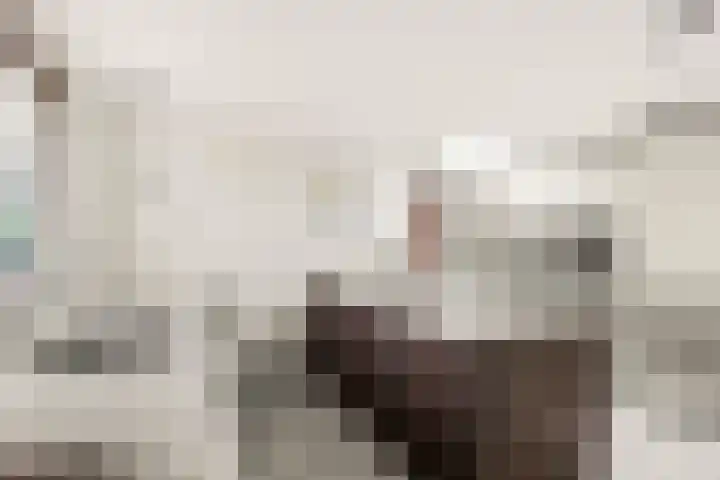 G.E.C. Ribbiuslaan 4 Rhoon thumbnail 4