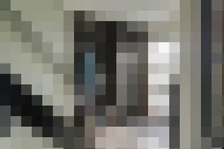 G. Griselstraat 16 Tiel thumbnail 11
