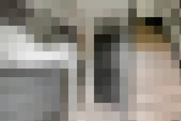 G. Griselstraat 16 Tiel thumbnail 12