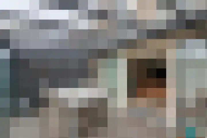G. Griselstraat 16 Tiel thumbnail 28