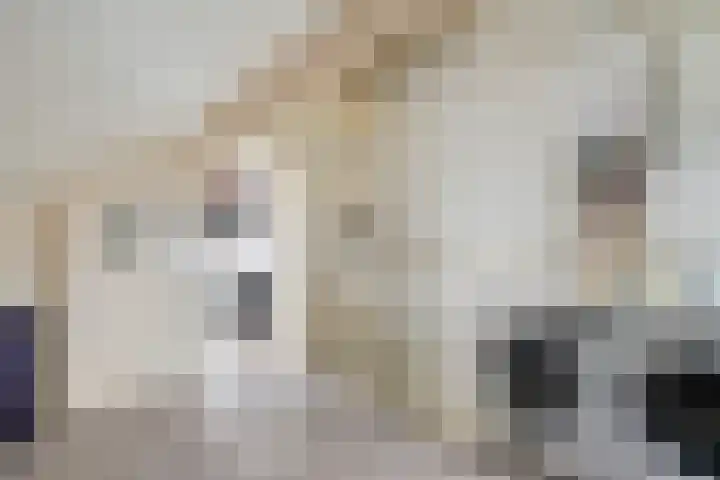 G. Griselstraat 16 Tiel thumbnail 43