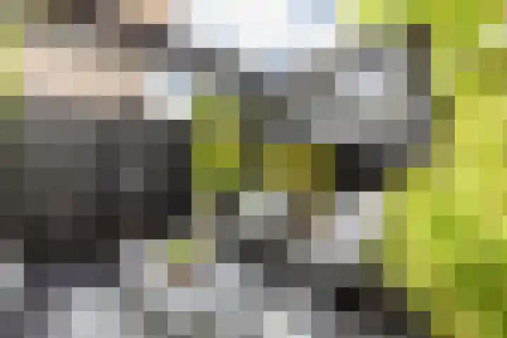 G. Marconistraat 4 Almere thumbnail 30
