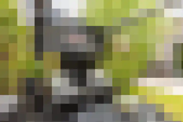 G. Marconistraat 4 Almere thumbnail 31