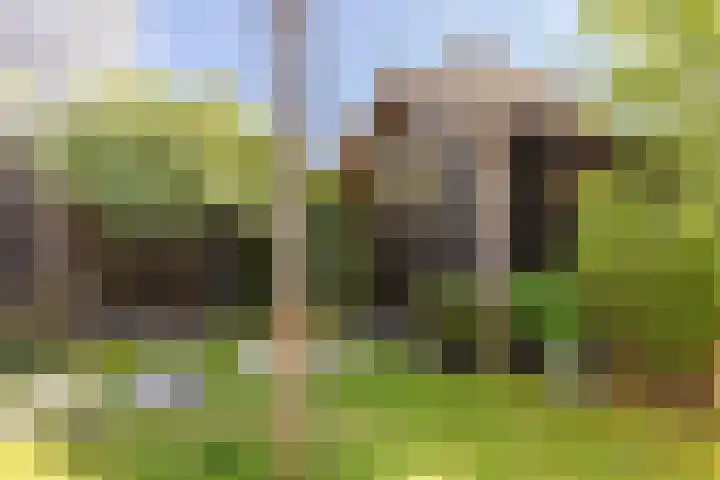 G. Marconistraat 4 Almere thumbnail 34