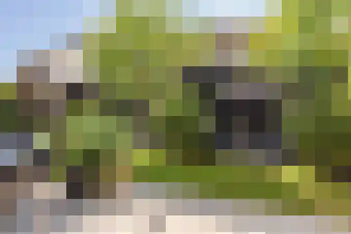 G. Marconistraat 4 Almere thumbnail 8