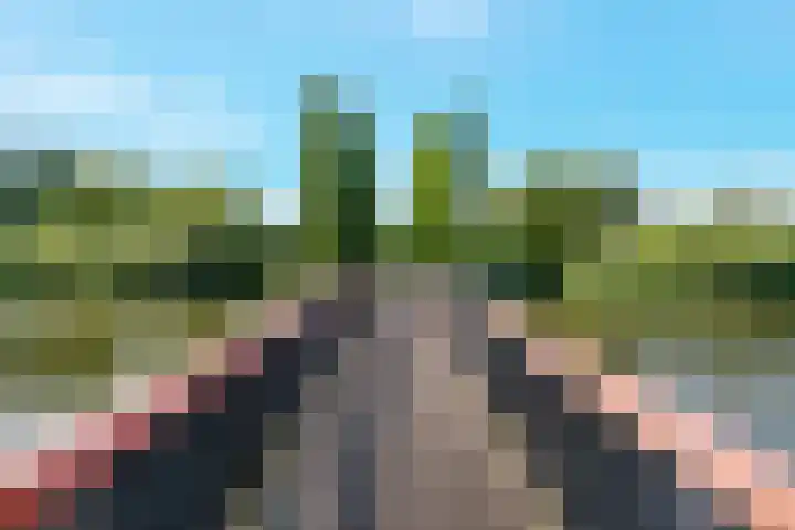 Gaag 39 De Meern thumbnail 29