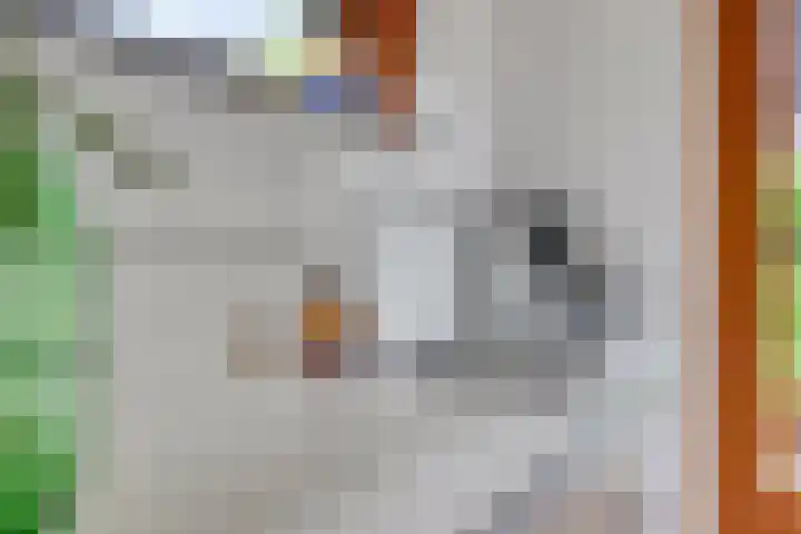 Gaaghof 3 Pijnacker thumbnail 16