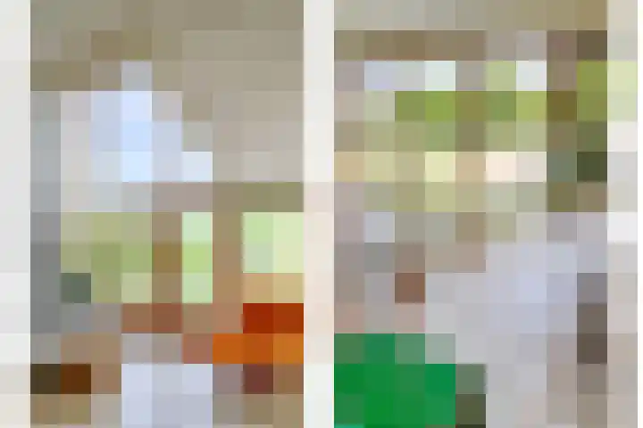 Gaaghof 3 Pijnacker thumbnail 22