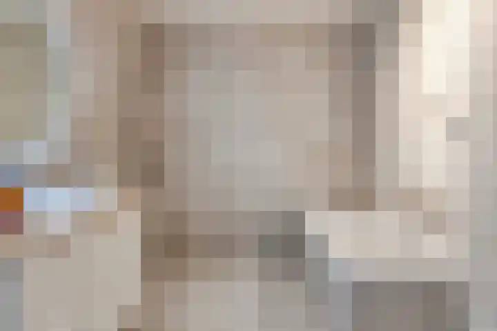 Gaaghof 3 Pijnacker thumbnail 23