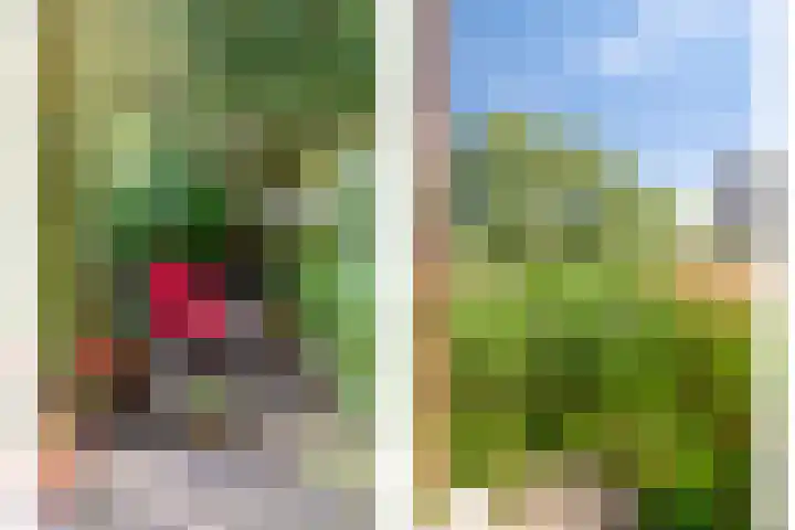 Gaaghof 3 Pijnacker thumbnail 34