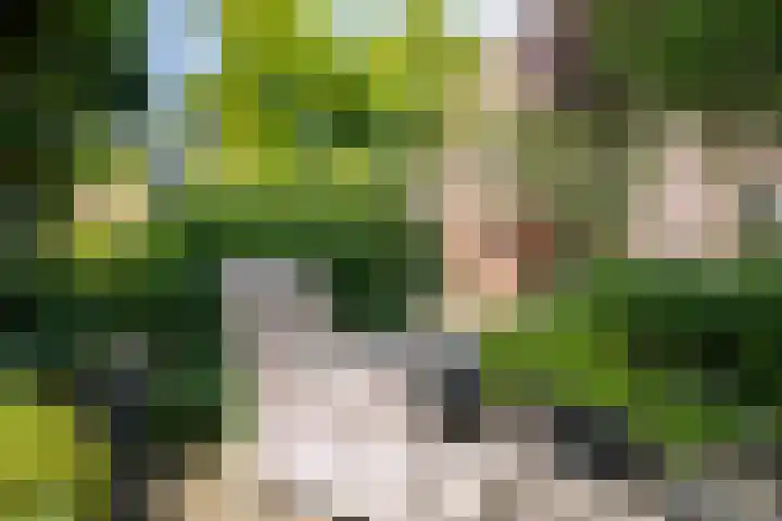 Gaaghof 3 Pijnacker thumbnail 35