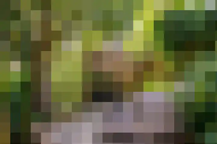 Gaaghof 3 Pijnacker thumbnail 36