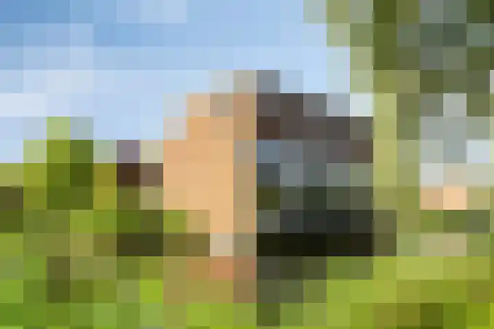 Gaaghof 3 Pijnacker thumbnail 42