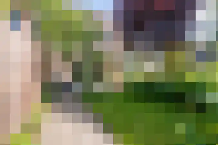 Gaaghof 3 Pijnacker thumbnail 5