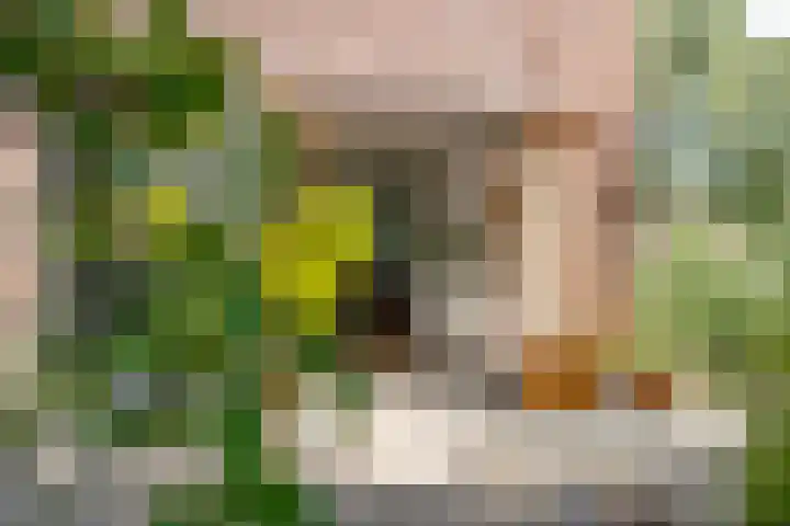 Gaaghof 3 Pijnacker thumbnail 7
