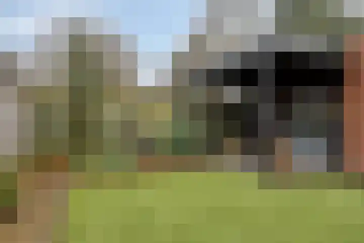 Gaard 18 Heusden thumbnail 33
