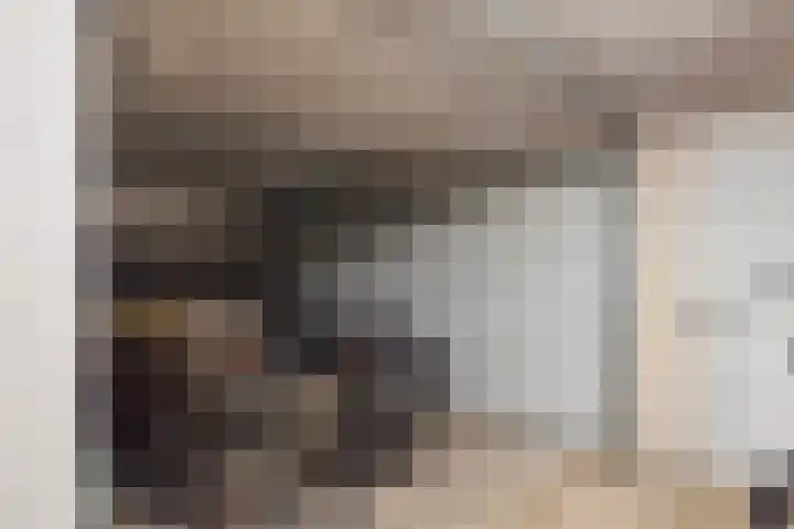 Gaardedreef 21 Zoetermeer thumbnail 14