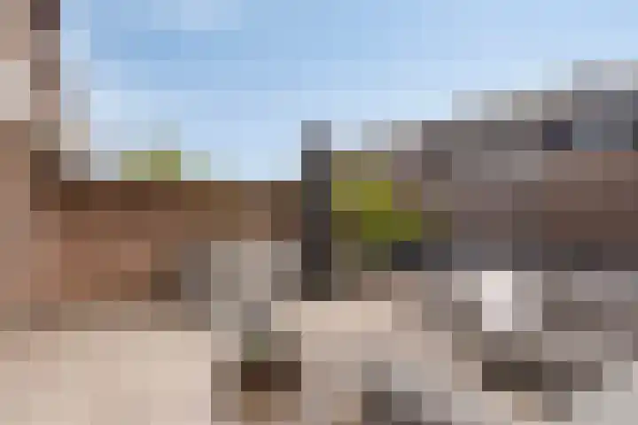 Gaardedreef 21 Zoetermeer thumbnail 23