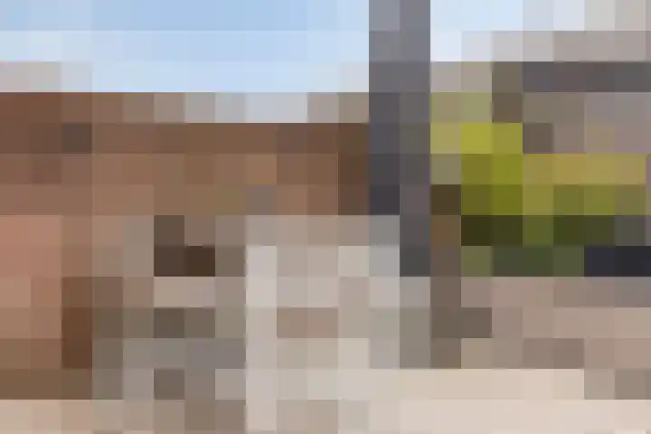 Gaardedreef 21 Zoetermeer thumbnail 24