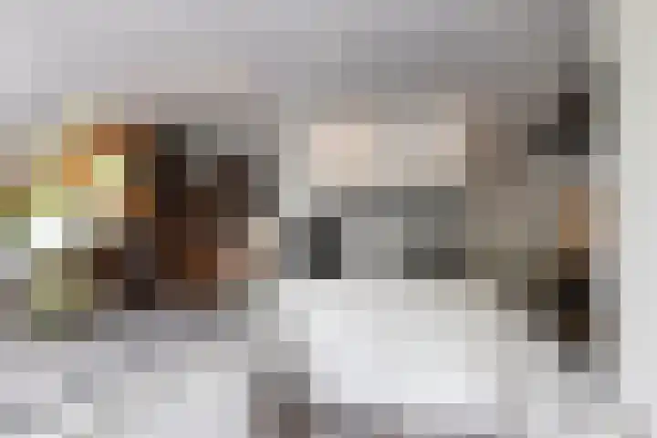 Gaardedreef 21 Zoetermeer thumbnail 29