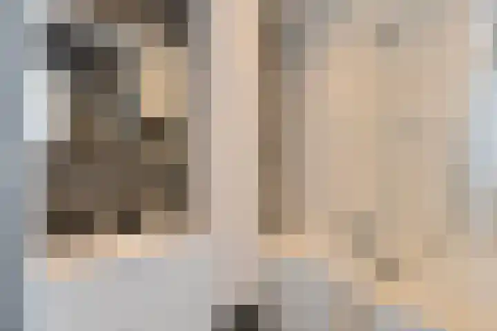 Gaardedreef 21 Zoetermeer thumbnail 5