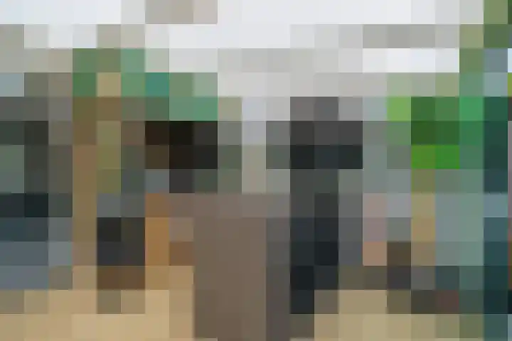 Gaardedreef 32 Zoetermeer thumbnail 27