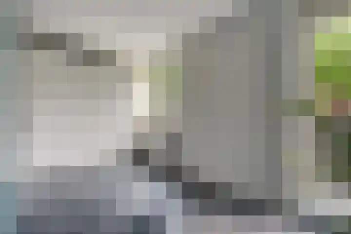 Gaardedreef 32 Zoetermeer thumbnail 34