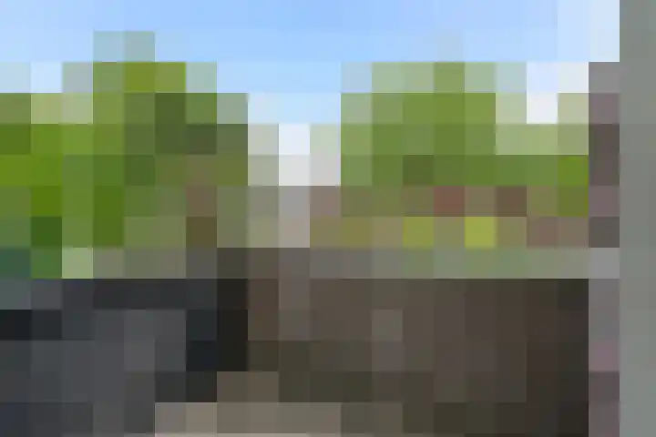 Gaardedreef 32 Zoetermeer thumbnail 36