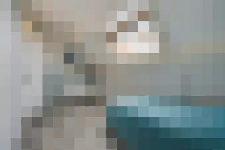Gaardedreef 32 Zoetermeer thumbnail 45