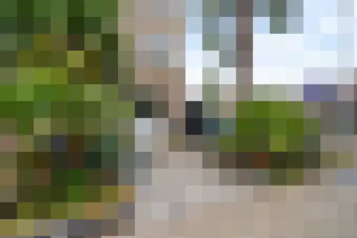 Gaardedreef 32 Zoetermeer thumbnail 49