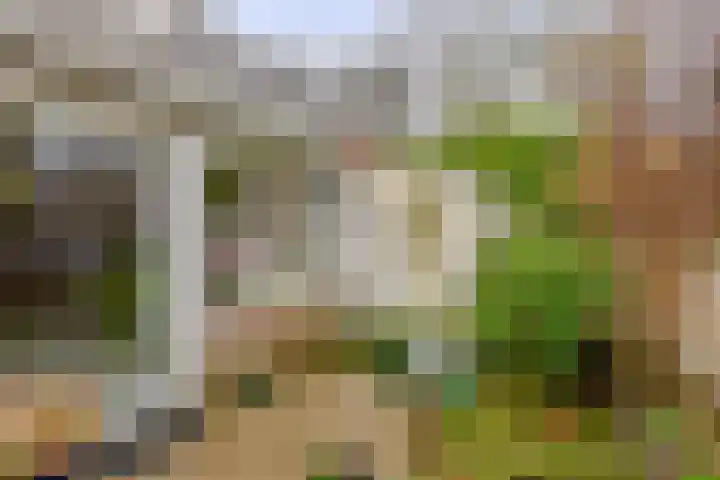 Gaardedreef 38 Zoetermeer thumbnail 16