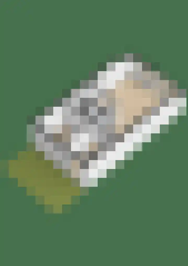 Gaardedreef 38 Zoetermeer thumbnail 27