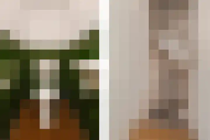 Gaardedreef 59 Zoetermeer thumbnail 18