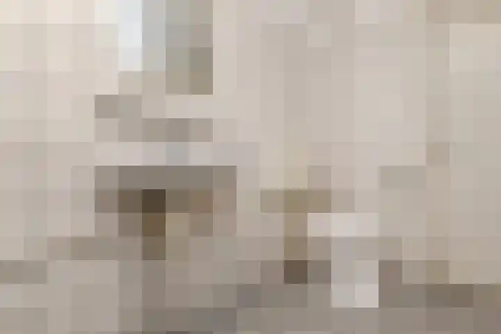 Gaardedreef 59 Zoetermeer thumbnail 30