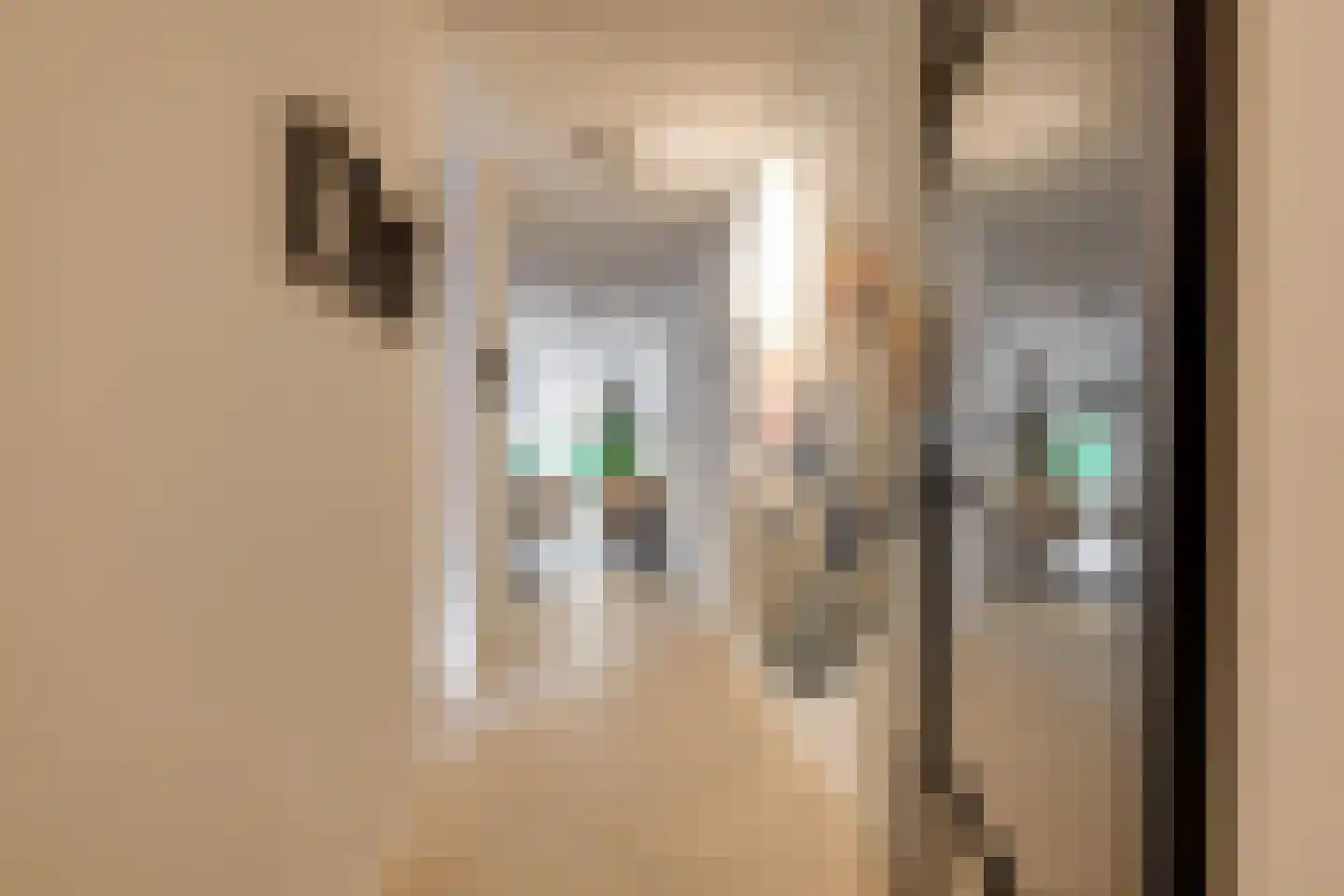 Gaardedreef 61 Zoetermeer thumbnail 11