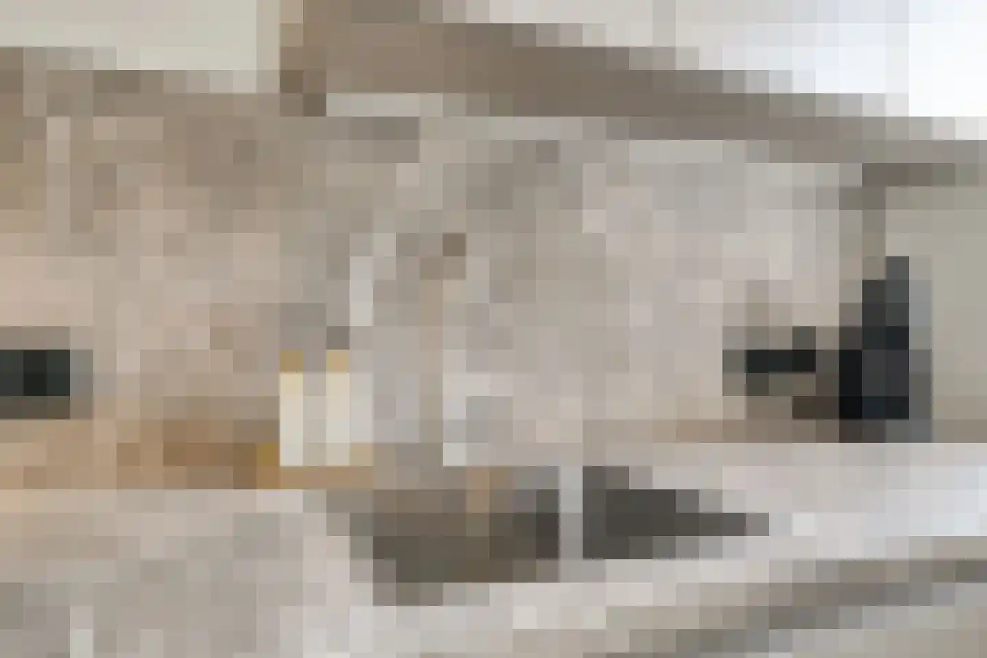 Gaardedreef 61 Zoetermeer thumbnail 20