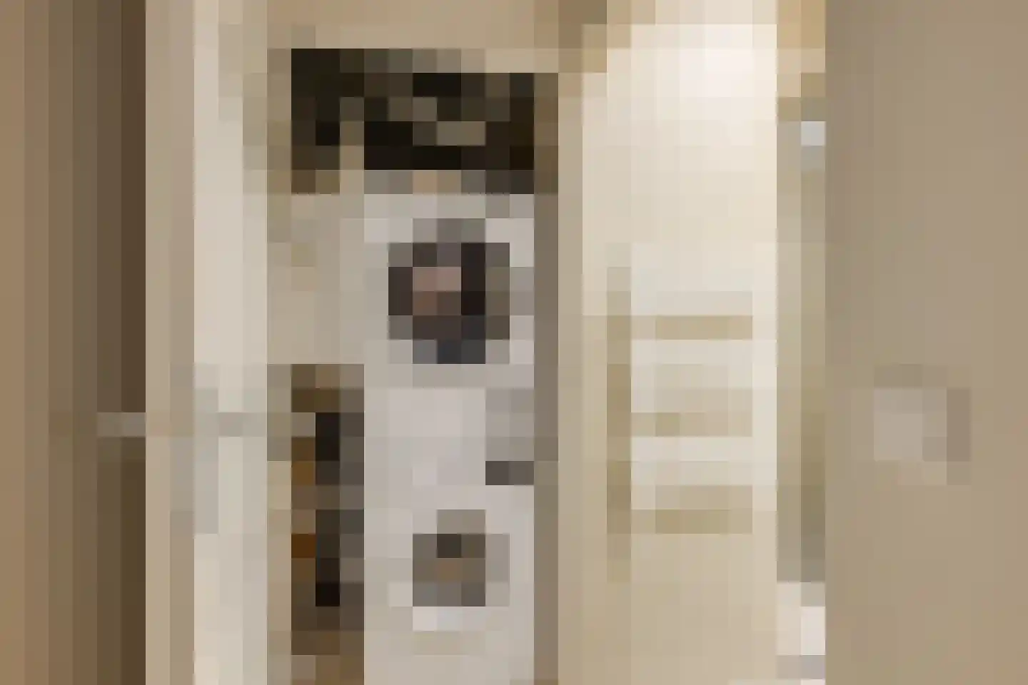 Gaardedreef 61 Zoetermeer thumbnail 31
