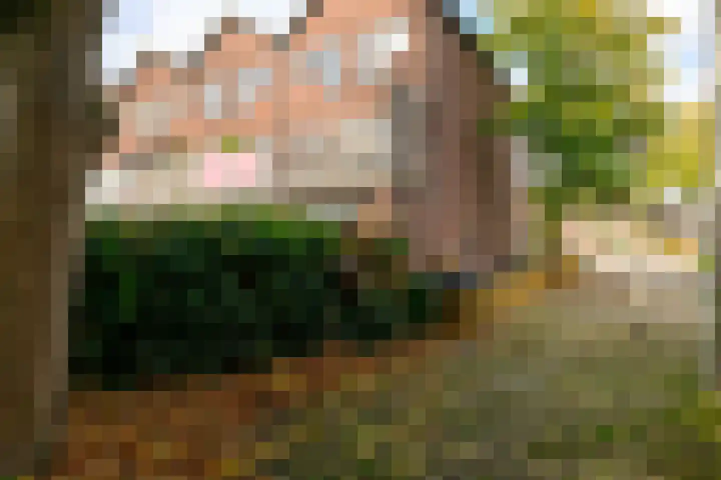 Gaardedreef 61 Zoetermeer thumbnail 32